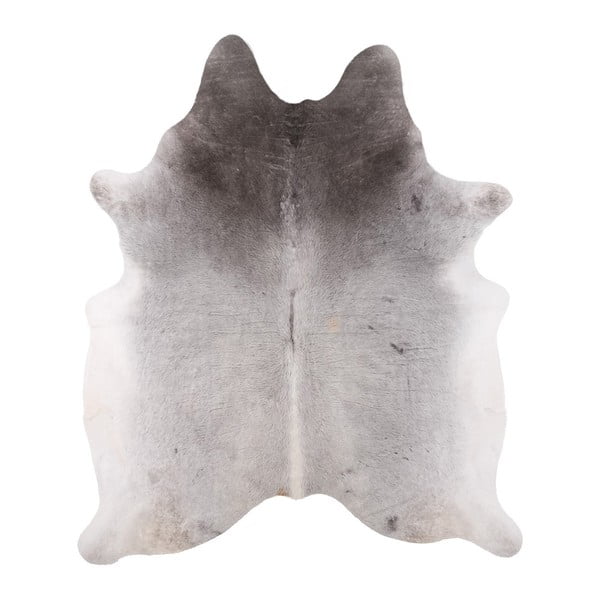 Pravá hovädzia koža Arctic Fur Galo Gris, 212 × 190 cm