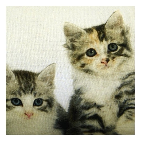 Vankúš Kittens 20x90 cm-image-1