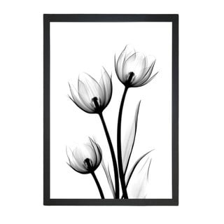 Plagát 23x28 cm Scented Flowery - Tablo Center