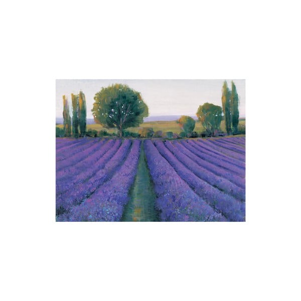 Obraz Lavender Field, 60x80 cm