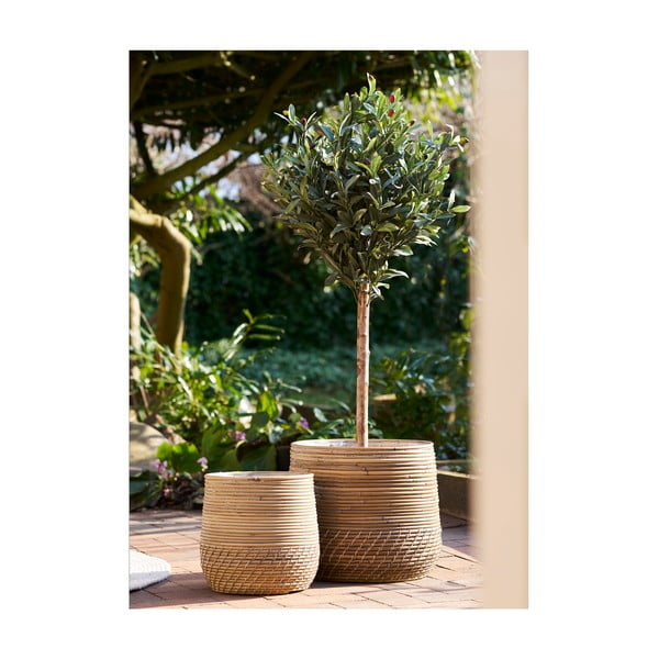 Ratanové košíky v súprave 2 ks ø 39x35 cm Moro – House Nordic-image-1