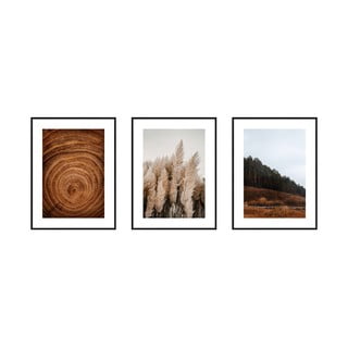 Obrazy v súprave 3 ks 30x40 cm Woods