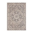 Sivobéžový koberec 240x340 cm Terrain Designer Sand – Hanse Home