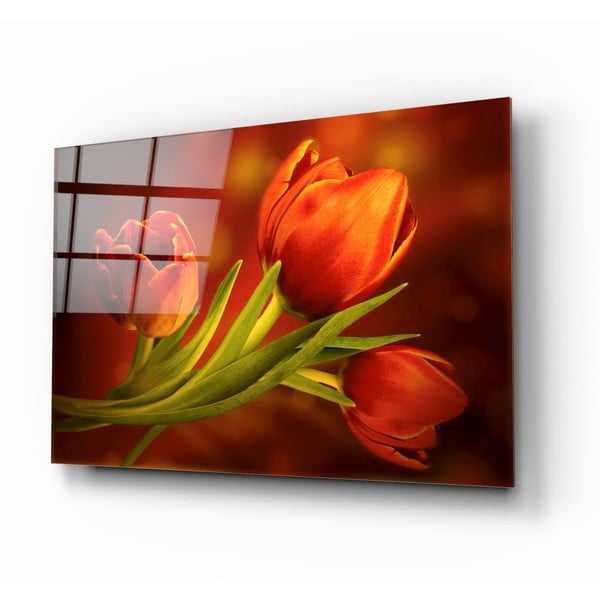Sklenený obraz Insigne Tulips