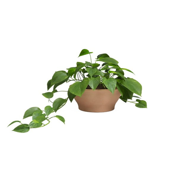 Kvetináč z terakoty ø 31 cm Saramago – Artevasi-image-1