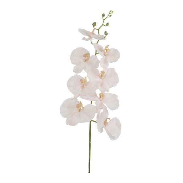 Ružová dekoratívna orchidea J-Line