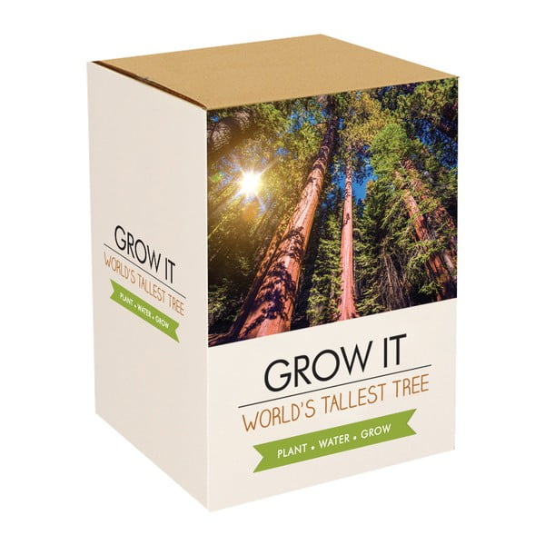 Pestovateľský set so semienkami sekvoje Gift Republic Sequoia The World Tallest Tree