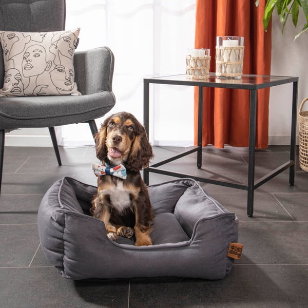 Modrý pelech pre psa 50x55 cm – Love Story-image-3