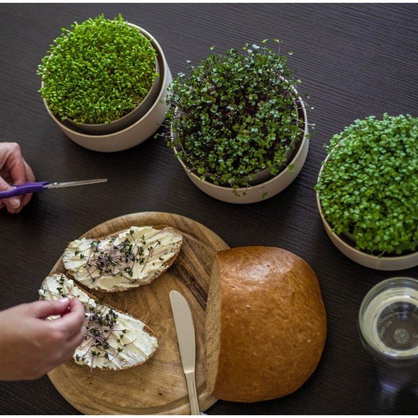 Plastová klíčiaca miska ø 16 cm Microgreens – Plastia-image-1
