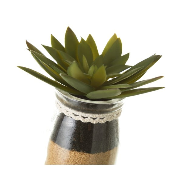 Umelé rastliny v súprave 4 ks (výška  18 cm) Cactus – Casa Selección-image-3