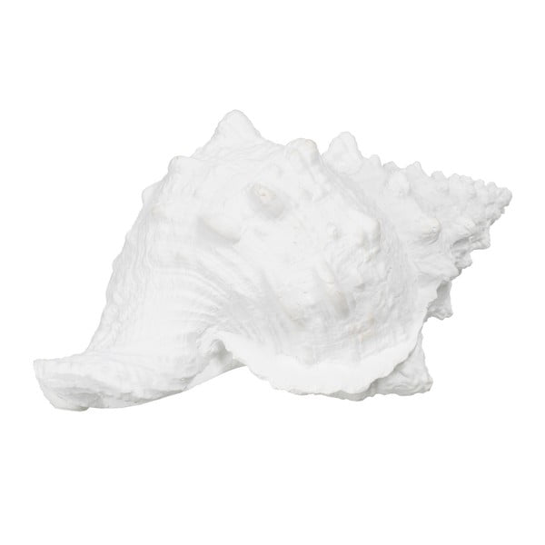 Soška z polyresínu (výška 12 cm) Seashell – Ixia-image-2