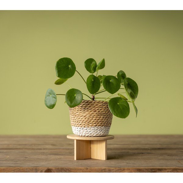 Bambusový stojan na kvety ø 18 cm – Esschert Design-image-3