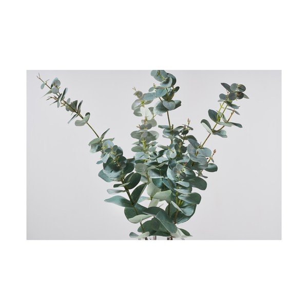 Umelý eukalyptus (výška  71 cm) Kvist – Villa Collection-image-1