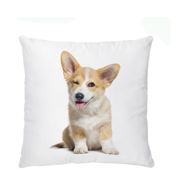 Detský vankúšik z bavlneného saténu 45x45 cm The Cutest Ones – Butter Kings-image-2