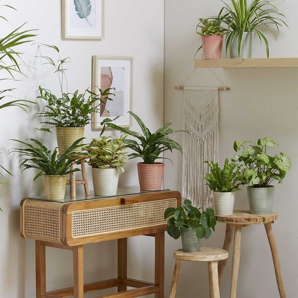 Keramický kvetináč ø 19 cm Canberra Effekt - Big pots-image-1