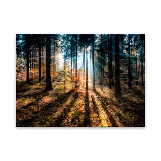 Obraz Styler Glasspik Autumn Sunset, 70 × 100 cm