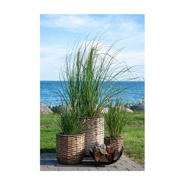 Kvetináče z vodného hyacintu v súprave 3 ks ø 49 cm Hanoi – House Nordic-image-1