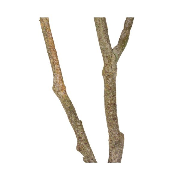 Umelá rastlina (výška 116 cm) Oak Tree – Ixia-image-4