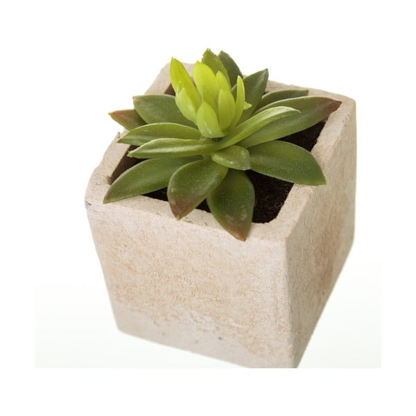 Umelé rastliny v súprave 6 ks (výška  9,5 cm) Cactus – Casa Selección-image-1