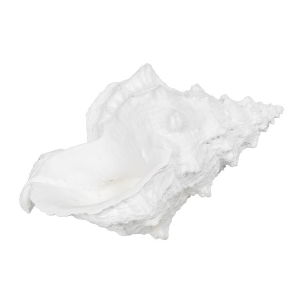Soška z polyresínu (výška 12 cm) Seashell – Ixia-image-4