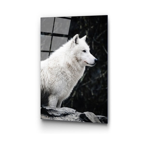 Sklenený obraz 70x100 cm White Wolf - Wallity-image-4