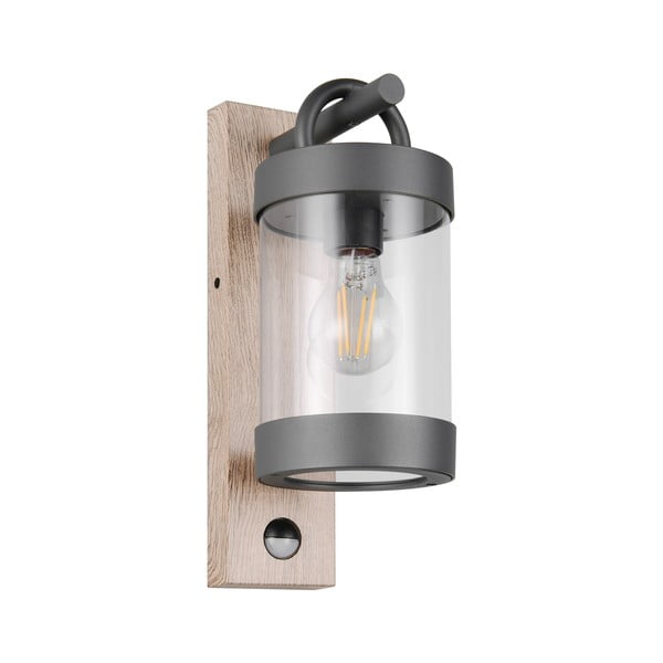 Nástenné vonkajšie svietidlo (výška 33 cm) Sambesi – Trio