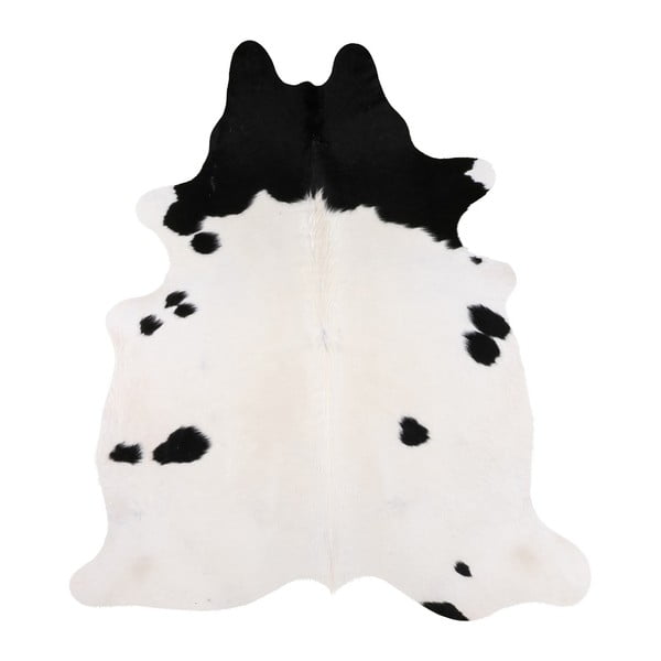 Čierno-biela pravá hovädzia koža Arctic Fur Nero Creamy, 185 × 170 cm