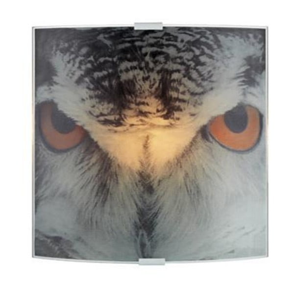 Nástenné svetlo Markslöjd Owl