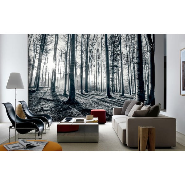 Veľkoformátová tapeta Hlboký les, 360 x 253 cm