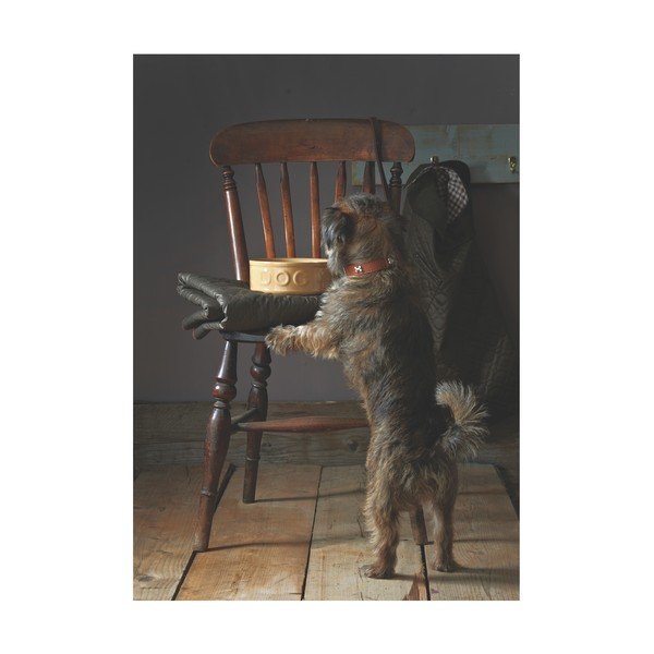 Kameninová miska pre psov Mason Cash Dog Cane, ø 25 cm-image-4