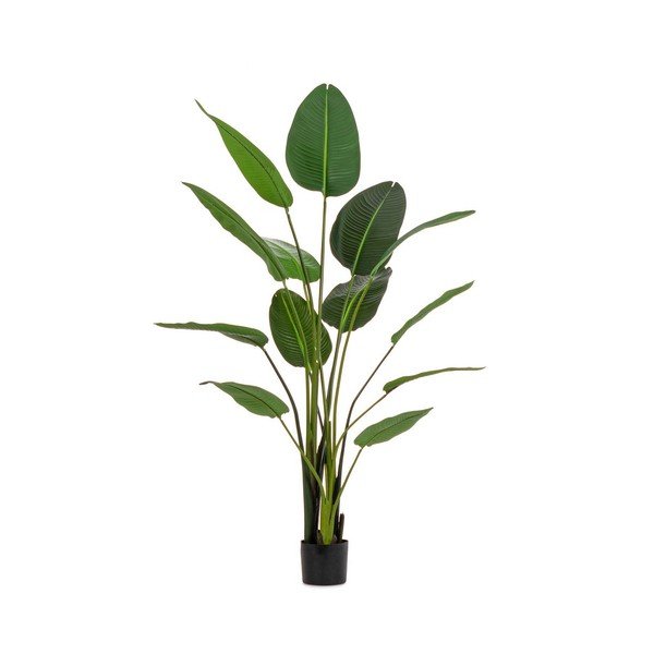 Umelý kvet (výška  185 cm) Sterilizia – Bizzotto