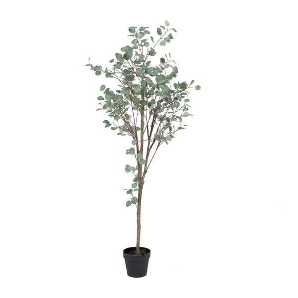 Umelý eukalyptus (výška 180 cm) Eucalyptus – Ixia