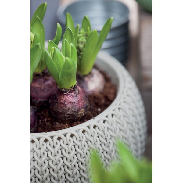 Plastový závesný a nástenný  kvetináč ø 36 cm Cozy – Keter-image-1