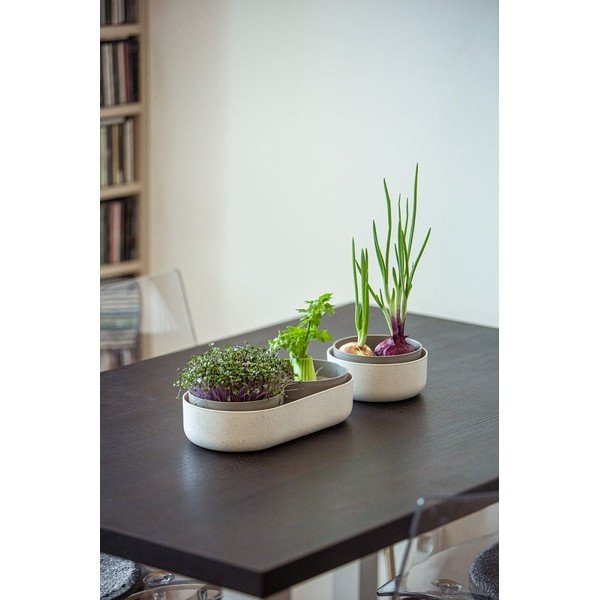 Plastová klíčiaca miska ø 16 cm Microgreens – Plastia-image-2