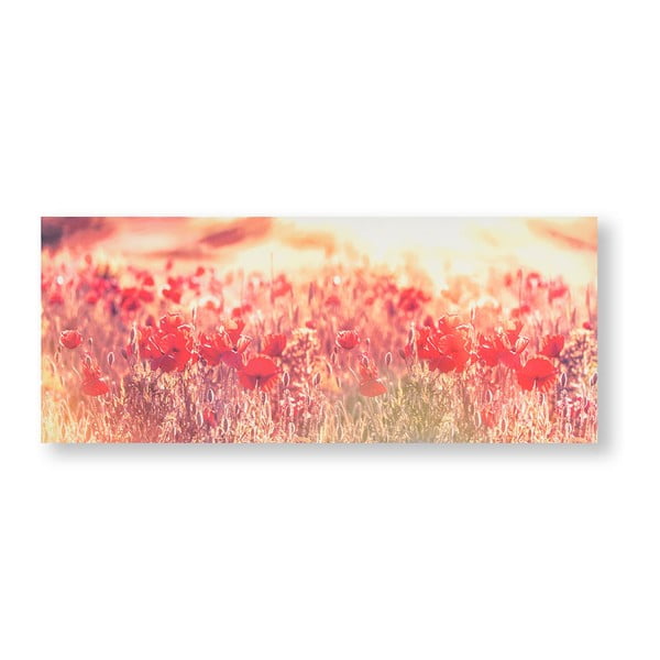 Obraz Graham & Brown Peaceful Poppy Fields, 100 × 40 cm