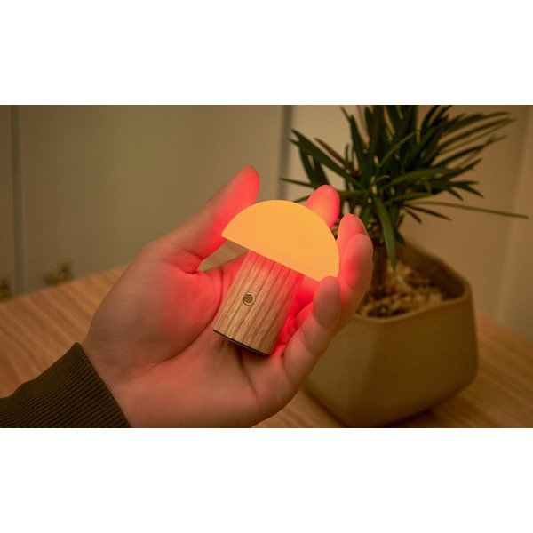 LED stolová lampa z jaseňového dreva so stmievačom v prírodnej farbe (výška  7 cm) Alice – Gingko-image-4