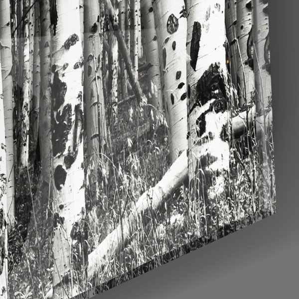 Sklenený obraz Insigne Yellow Forest, 110 x 70 cm-image-2