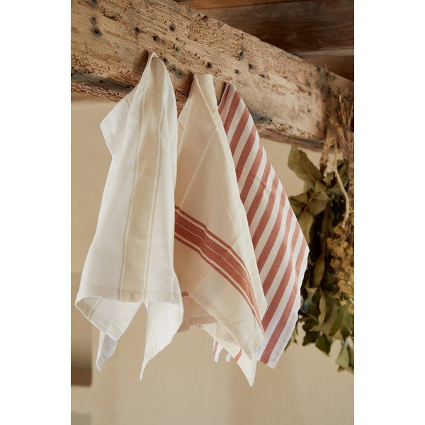 Bavlnené utierky v súprave 2 ks 50x70 cm Stripes – Casafina-image-1