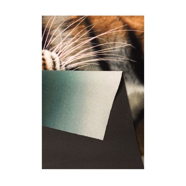 Koberec Hanse Home Tiger, 190 × 140 cm-image-2