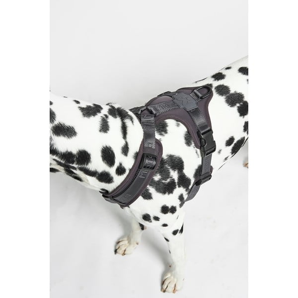 Tmavosivý postroj veľkosť L dĺžka 42 cm Modena Asphalt L – MiaCara-image-3