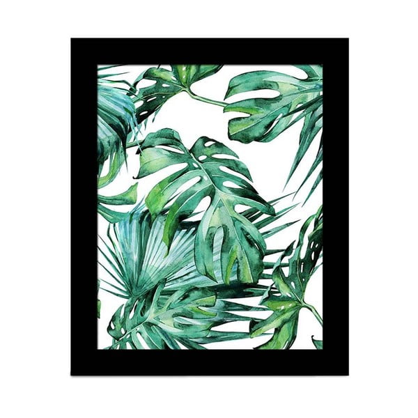 Obraz Alpyros Jungle, 23 × 28 cm