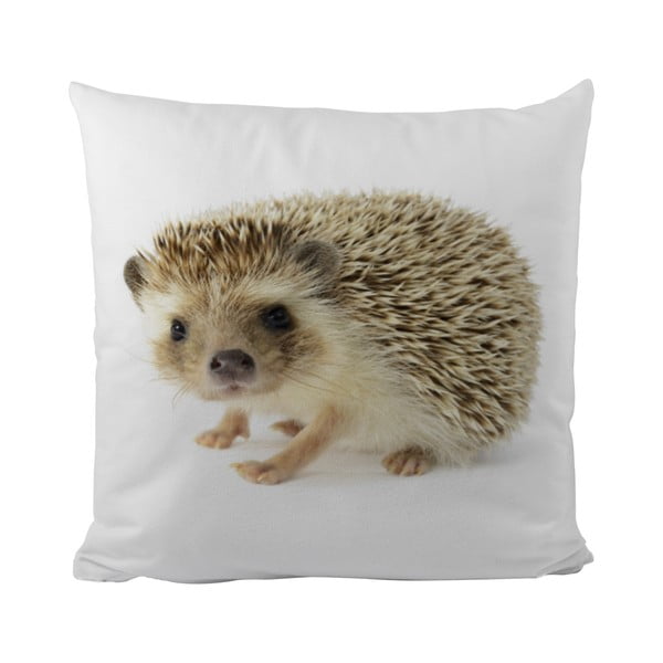 Vankúš Mr. Little Fox This Hedgehog, 50 x 50 cm
