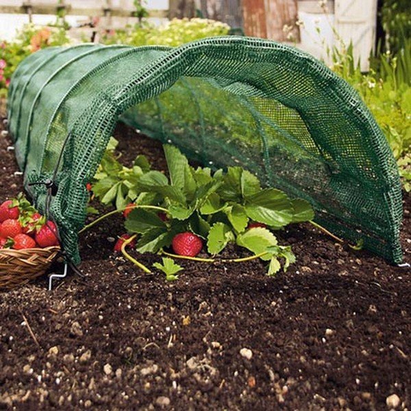 Záhradné textílie – Garden Pleasure-image-1