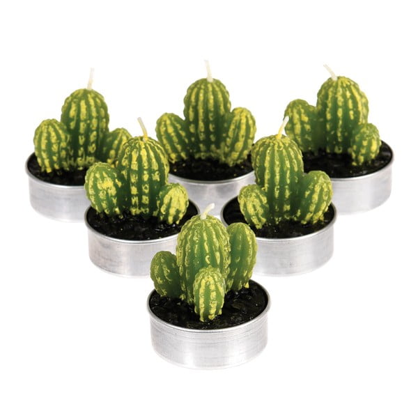 6 čajových sviečok v tvare kaktusu Rex London Desert In Bloom