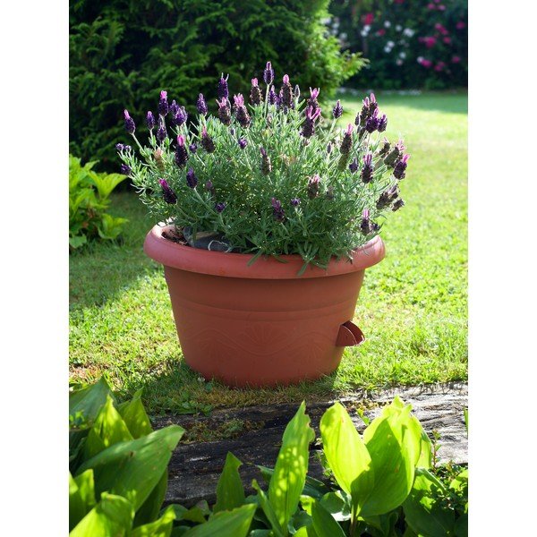 Hnedý samozavlažovací kvetináč Plastia Siesta, ø 25 cm-image-1