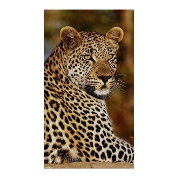 Plážová osuška s potlačou Good Morning Leopard, 100 x 180 cm