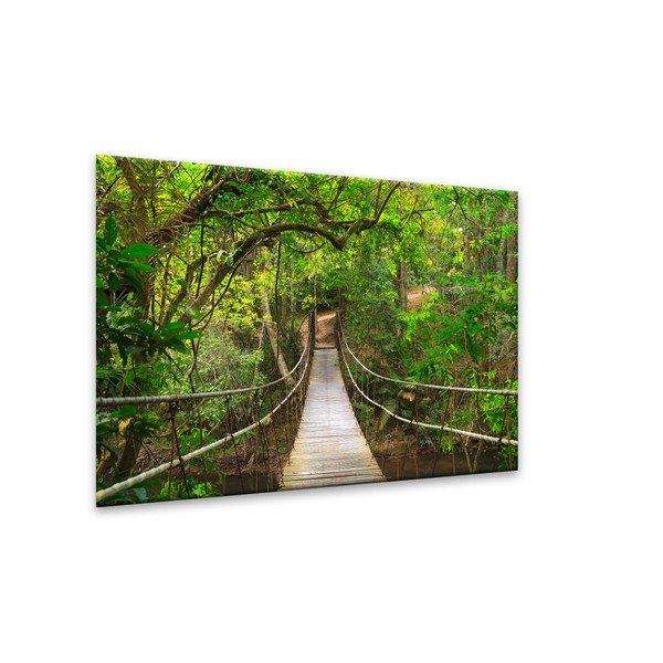 Obraz Styler Glas Nature Forest Bridge, 80 × 120 cm-image-1