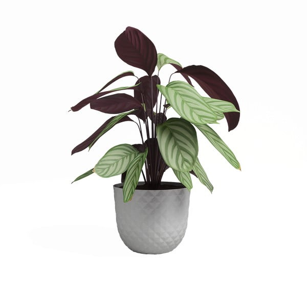 Kvetináč z recyklovaného plastu ø 20 cm Havana – Artevasi-image-2