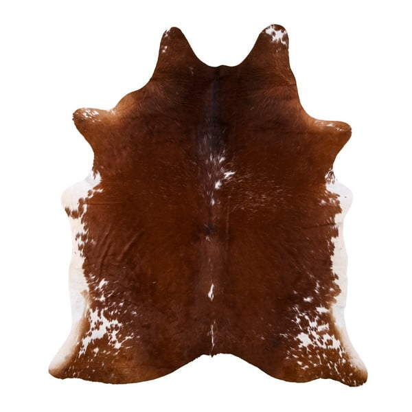 Pravá hovädzia koža Arctic Fur Bardo, 195 × 176 cm