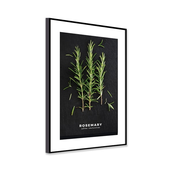 Obraz 50x70 cm Rosemary – Styler-image-3